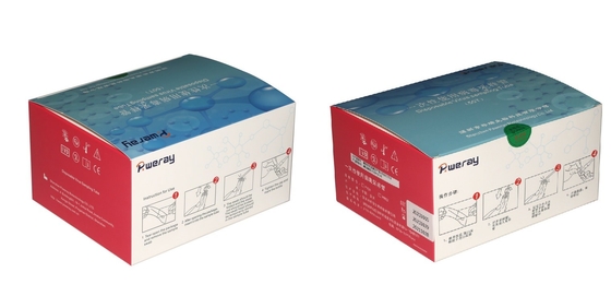 3ML jednorazowy zestaw testowy VTM do pobierania próbek wirusa do Covid-19