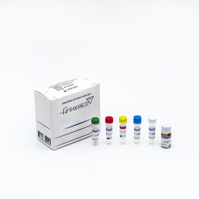 Covid 19 Viral PCR Reagent Kit Real Time PCR z wymazem z nosogardzieli