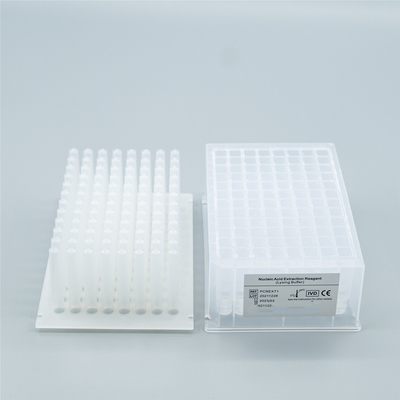 Extraction Kit Express MgPure Nucleic Acid Purification Kit z aprobatą CE