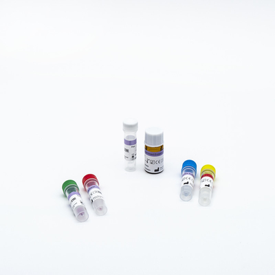 ISO13485 Zatwierdzony zestaw do wykrywania próbek próbek PCR Szybki test do ekstrakcji kwasu nukleinowego