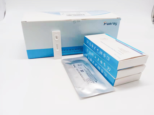 Zatwierdzony przez CE jednoetapowy test amplifikacji kwasu nukleinowego PCR NAAT Test Wymaz ze śliny